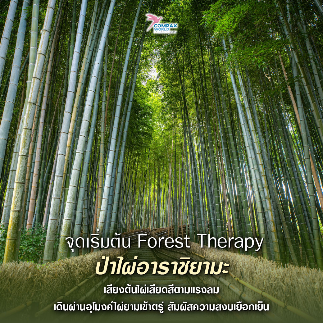 เที่ยวญี่ปุ่น ทัวร์ญี่ปุ่น ทัวร์ญี่ปุ่นพรีเมี่ยม โปรแกรมทัวร์ญี่ปุ่น